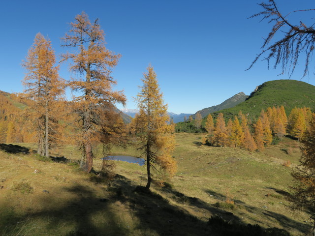 Weg 73 zwischen Bärenstaffl und Stubhöhe (15. Okt.)