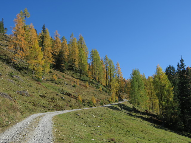 Weg 73 zwischen Labeneckalm und Wolfgrubenhütte (15. Okt.)