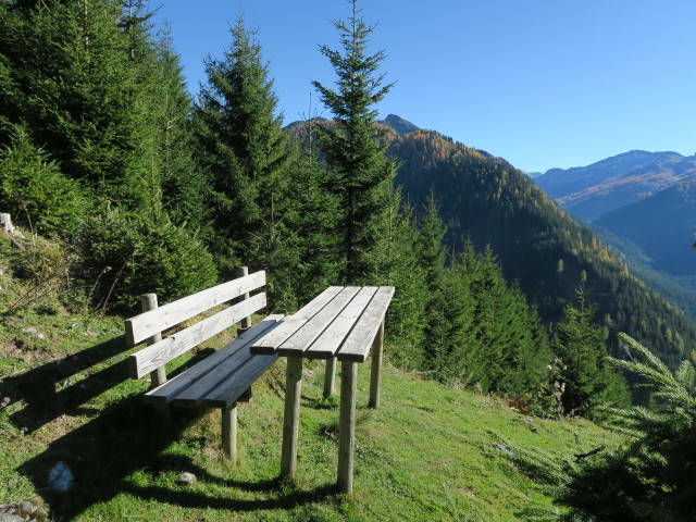 neben Weg 73 zwischen Wolfgrubenh&uuml;tte und Unsinniggraben (15. Okt.)