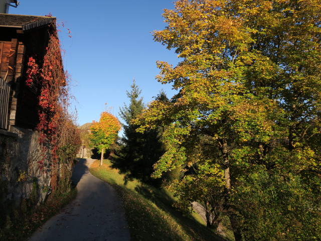 zwischen Scheitstiege und Bahnhof Radstadt (15. Okt.)