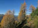 Salzburger Almenweg zwischen Lackensattel und Lackenkogel (14. Okt.)