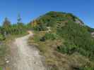 zwischen Salzburger Almenweg und Lackenkogel (14. Okt.)