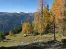 Salzburger Almenweg zwischen Lackenkogel und Hinterkogel (14. Okt.)