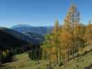 neben Weg 73 zwischen Labeneckalm und Wolfgrubenhütte (15. Okt.)