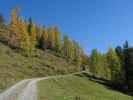 Weg 73 zwischen Labeneckalm und Wolfgrubenhütte (15. Okt.)