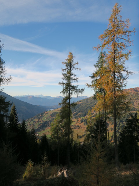 neben Weg 173 zwischen Oberscheiderhütte und Schachen