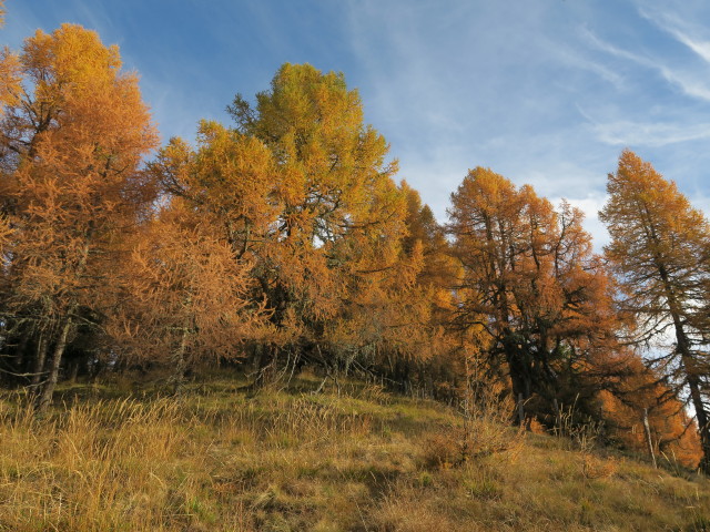 Weg 173 zwischen Schachen und Gridleck