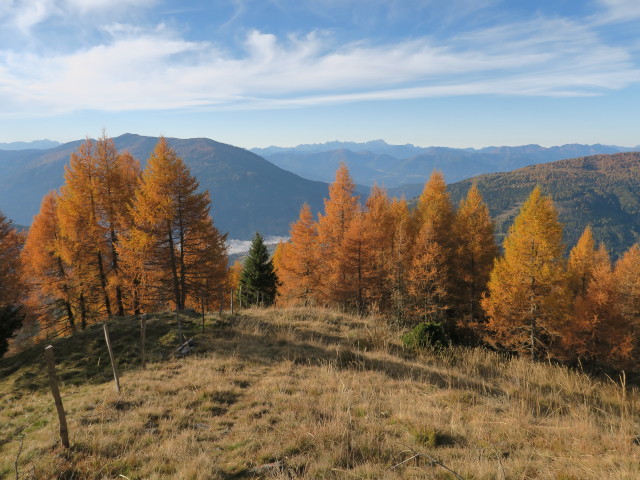 Weg 173 zwischen Schachen und Gridleck
