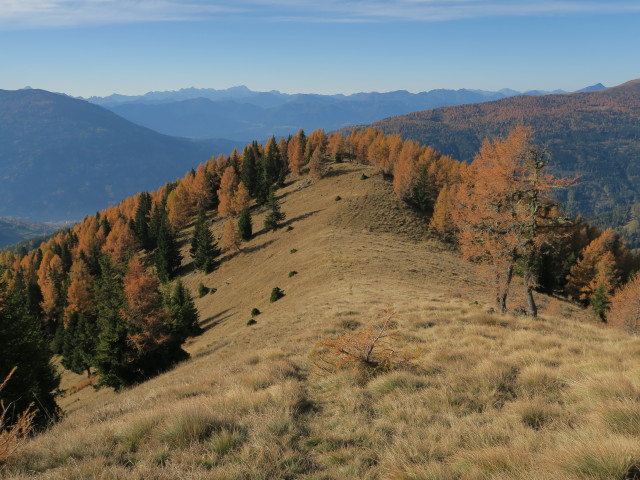 Weg 173 zwischen Gridleck und Feldhöhe