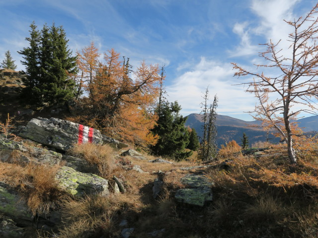 Weg 173 zwischen Gridleck und Feldh&ouml;he