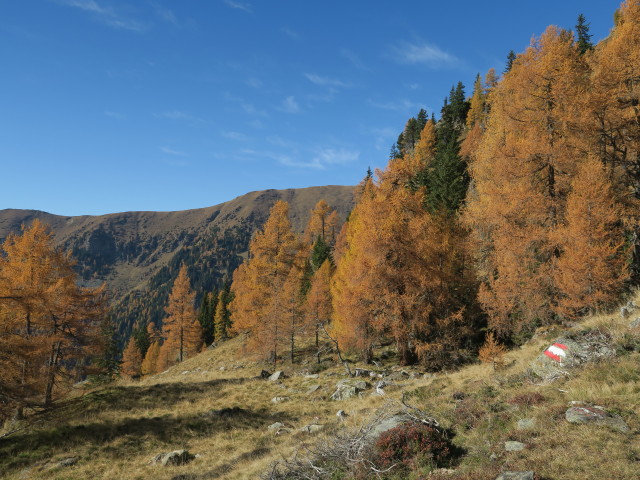 Weg 13 zwischen Gosorn und Thomeleh&uuml;tte