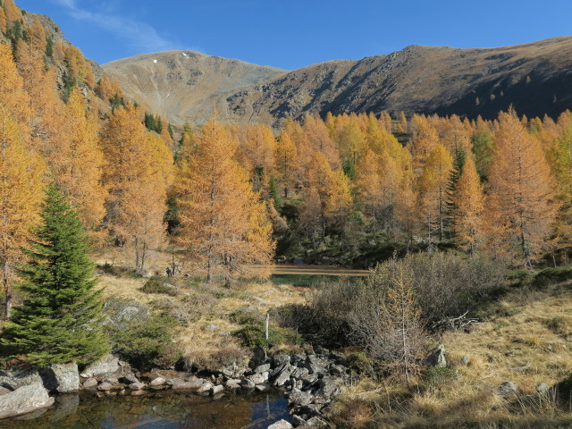 neben Weg 13 zwischen Gosorn und Thomeleh&uuml;tte