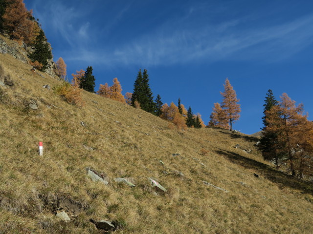 Weg 13 zwischen Gosorn und Thomeleh&uuml;tte
