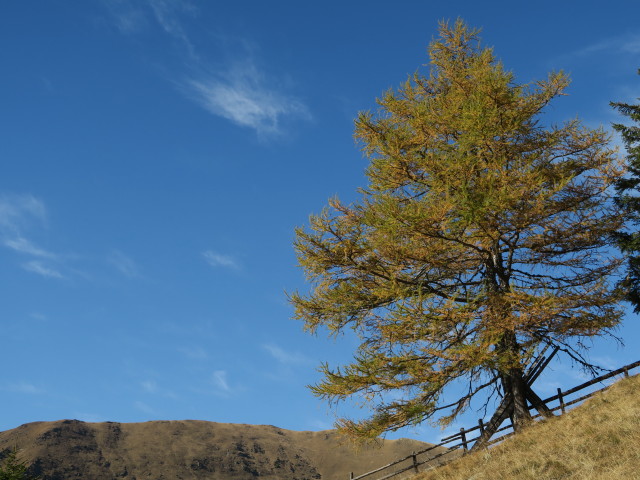 neben Weg 13 zwischen Gosorn und Thomeleh&uuml;tte