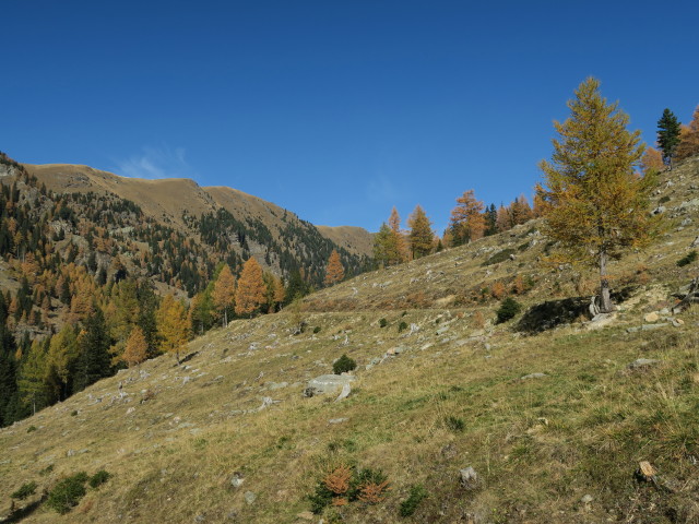 neben Weg 13 zwischen Thomeleh&uuml;tte und Koflachtal