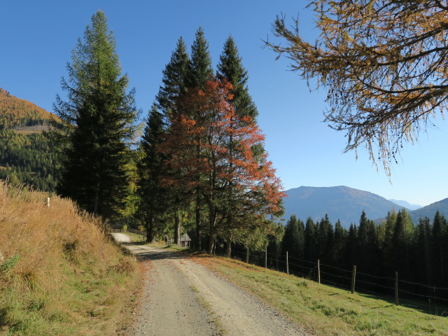 Weg 169 zwischen Gappnigh&uuml;tte und Untergrie&szlig;nigh&uuml;tte