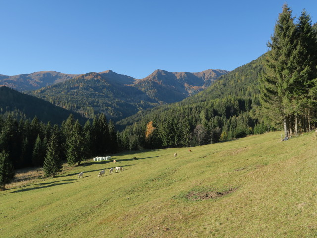 neben Weg 169 zwischen Untergrie&szlig;nigh&uuml;tte und Graier