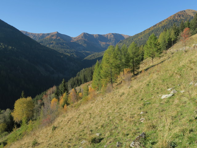 neben Weg 169 zwischen Untergrie&szlig;nigh&uuml;tte und Graier
