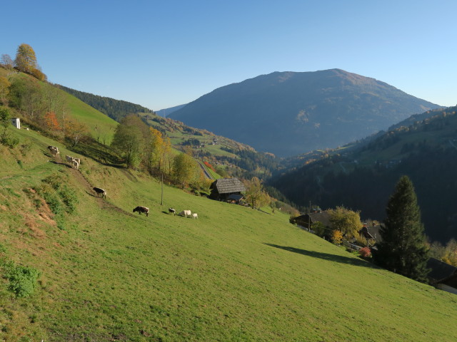 neben Weg 169 zwischen Untergrie&szlig;nigh&uuml;tte und Graier