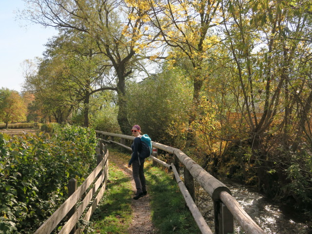 Sabine am Ziehrerweg zwischen Puchberg am Schneeberg und Diertl