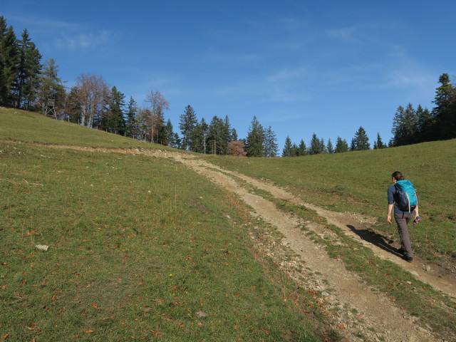 Sabine zwischen Wegscheidgraben und Himberg