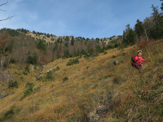 Weg 423 zwischen Offenseebach und Hiaslalm