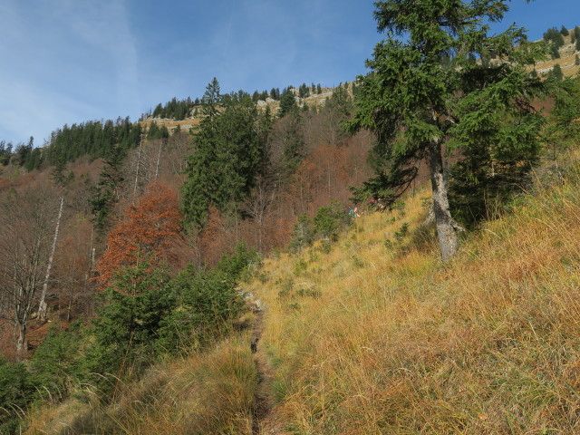 Weg 423 zwischen Hiaslalm und Eibenbergschneid