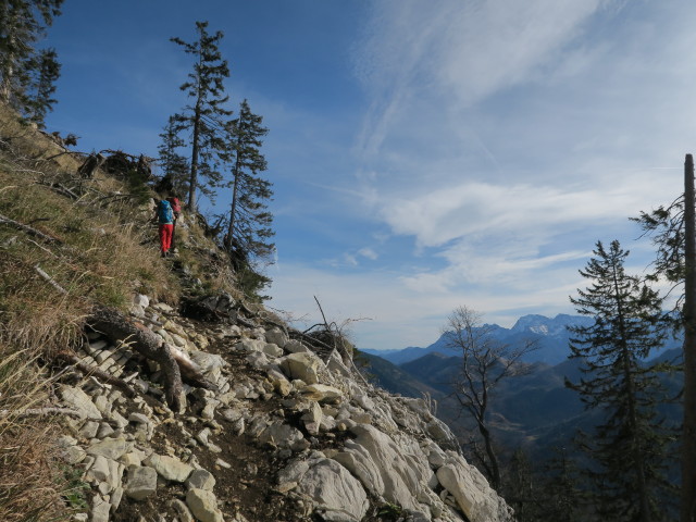 Weg 423 zwischen Hiaslalm und Eibenbergschneid