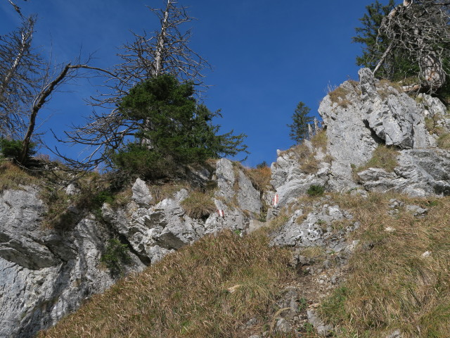 Weg 423 zwischen Hiaslalm und Eibenbergschneid