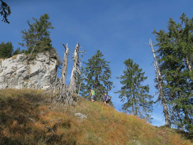 Weg 423 zwischen Eibenbergschneid und Hiaslalm