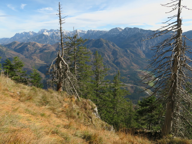 neben Weg 423 zwischen Eibenbergschneid und Hiaslalm