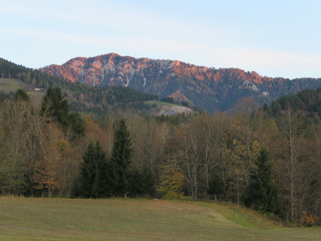 Kobesnock von N&ouml;tsch aus