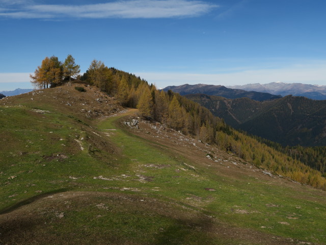 neben Weg 288 zwischen Wertschacher Alm und Kobesnock