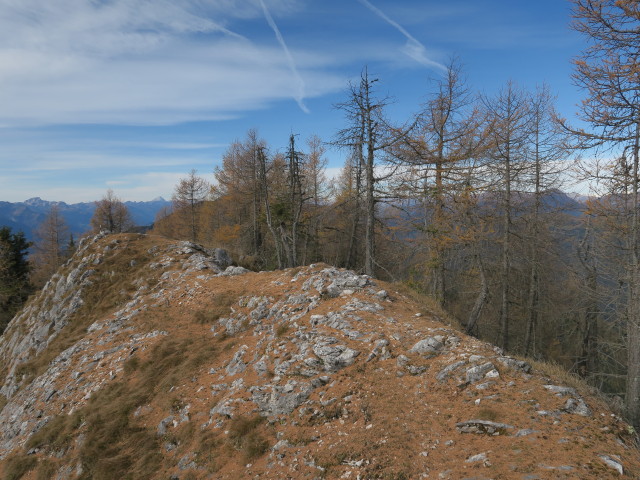 Weg 288 zwischen Wertschacher Alm und Kobesnock