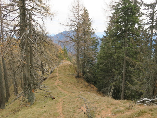 Weg 288 zwischen Kobesnock und Kaltem Loch