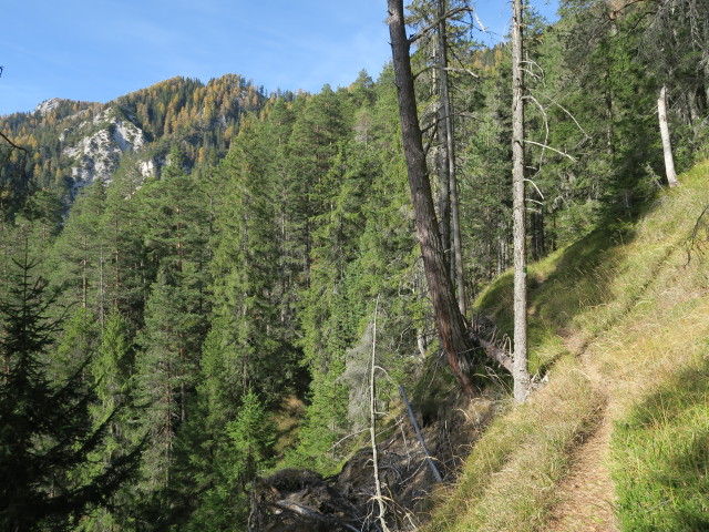 Weg 12 zwischen Zeber und Thomasstollen