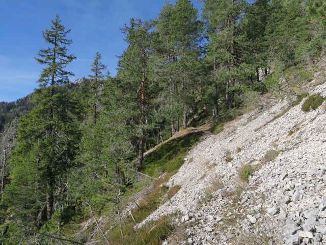 Weg 12 zwischen Zeber und Thomasstollen