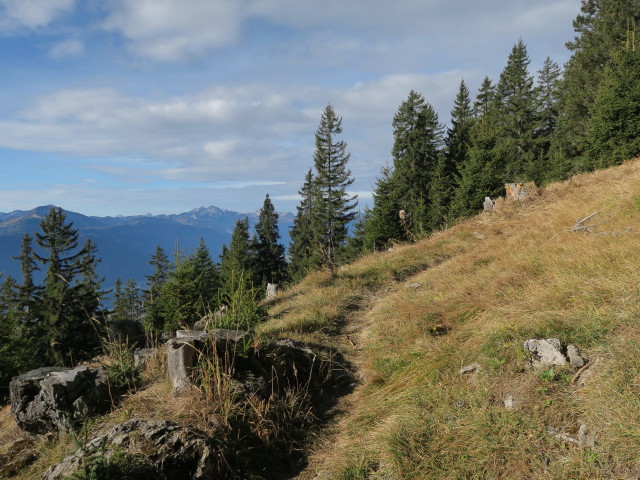 Weg 1 zwischen Windischer Höhe und Hadersdorfer Alm