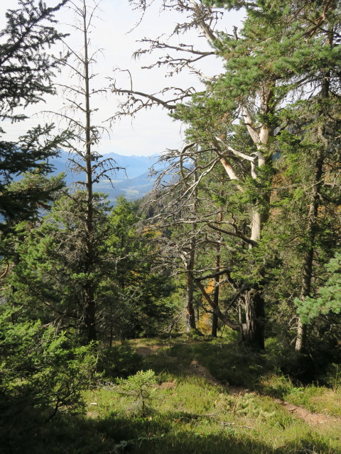 Gailtaler Höhenweg zwischen Schwarzwald und Köstendorfer Alm