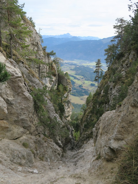 neben Weg 56 zwischen Geißrücken und St. Steben