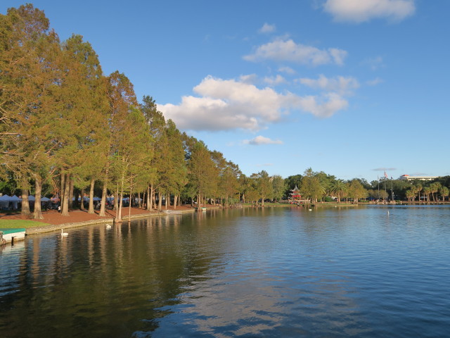 Lake Eola Park in Orlando (5. Nov.)