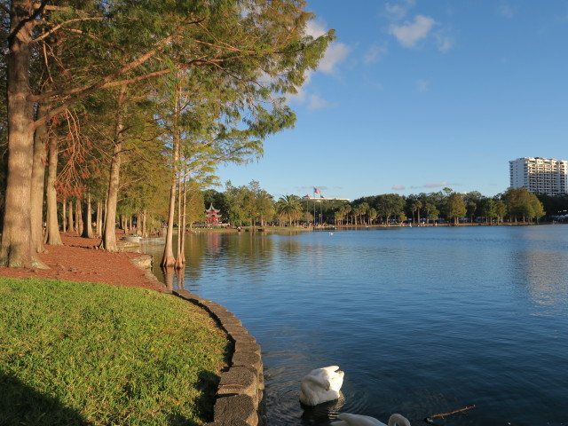 Lake Eola Park in Orlando (5. Nov.)