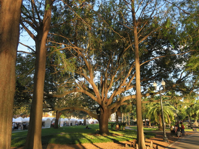 Lake Eola Park in Orlando (5. Nov.)
