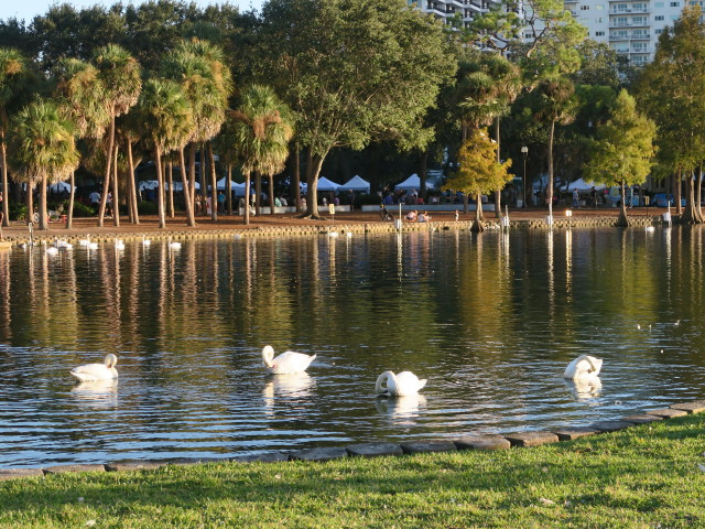 Lake Eola Park in Orlando (5. Nov.)