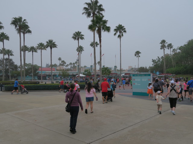 Sabine in Disney's Hollywood Studios (6. Nov.)