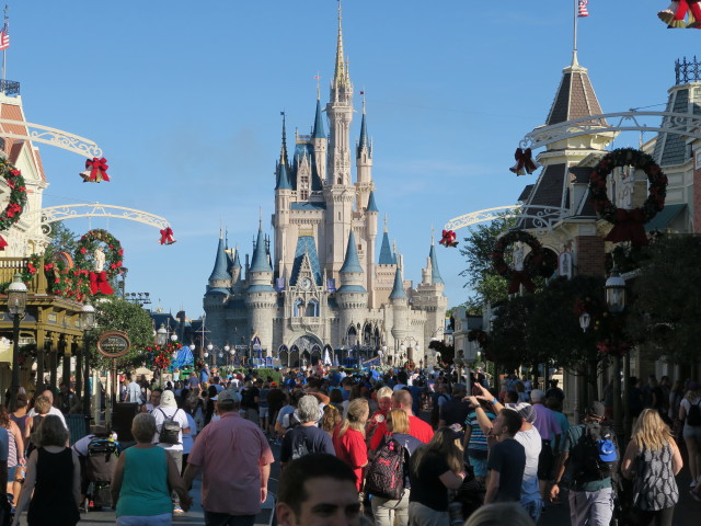 Cinderella Castle im Magic Kingdom (7. Nov.)