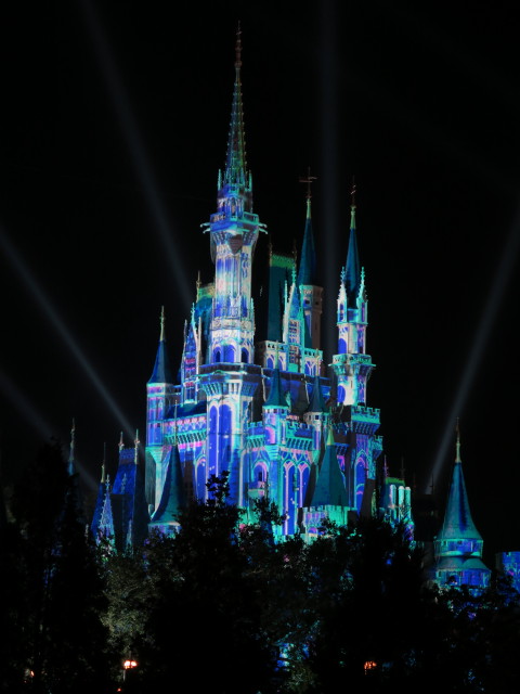 Cinderella Castle im Magic Kingdom (7. Nov.)