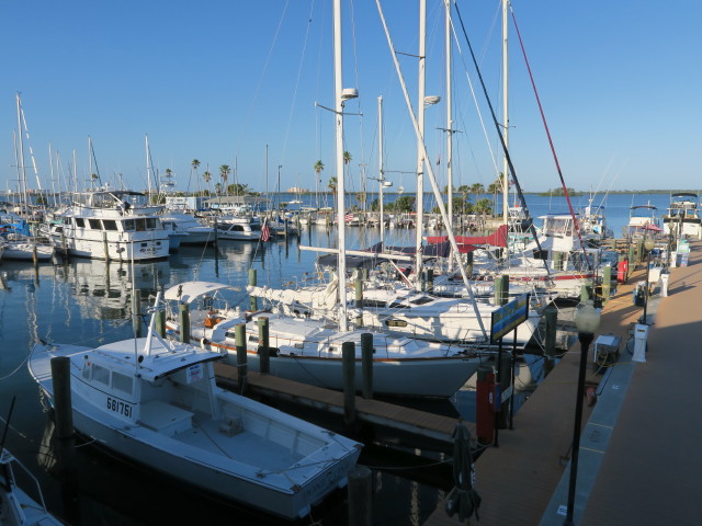 Dunedin Marina (11. Nov.)