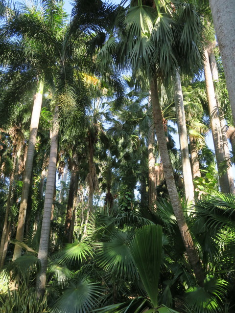 Sunken Gardens in St. Petersburg (11. Nov.)