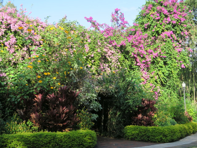 Sunken Gardens in St. Petersburg (11. Nov.)